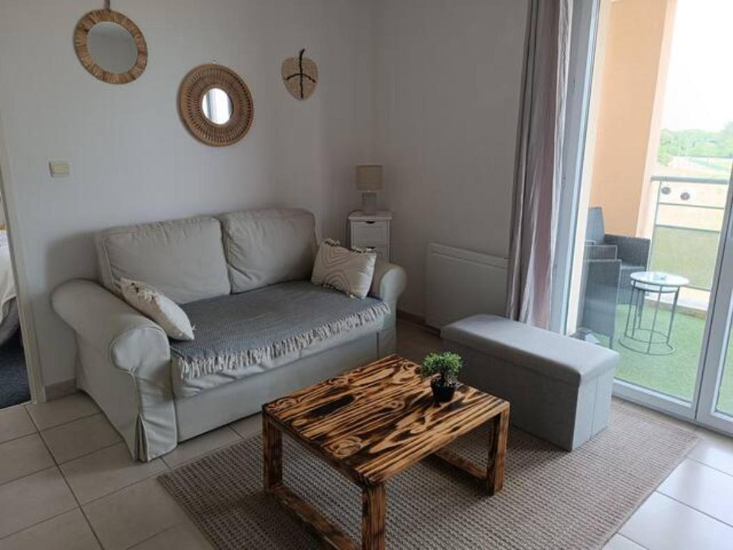 Le Cocon De Marie,Piscine, Balcon, Parking Gratuit, Baignoire Apartamento Carcassonne Exterior foto